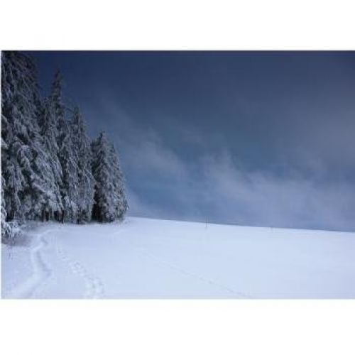 MANTELIN INVIERNO 43X31 CM