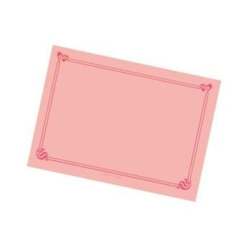 MANTELIN SNACK 50 GRS. 43X31CM ROSA CELULOSA