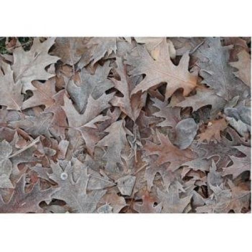 MANTELIN NATURAL 43X31 CM