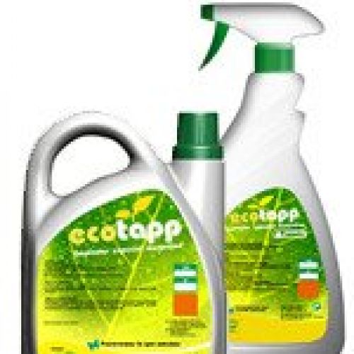 ECOTAPP Limpieza y mantenimiento de alfombras y moquetas. Posee propiedades bacteriostática que limitan la proliferación de bacterias.