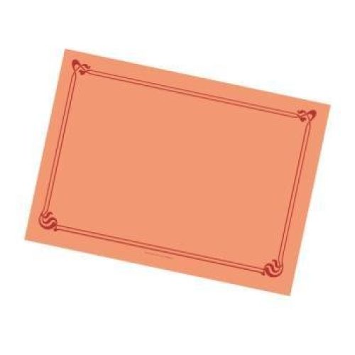 MANTELIN SNACK 50 G/M2 43X31CM SALMON CELULOSA