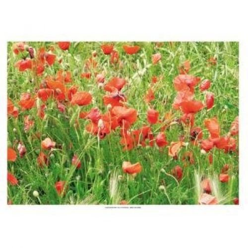 MANTELINES OFFSET AMAPOLAS 31x43 CM