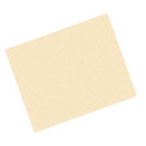 MANTEL 50 GR.M2 70X70 MARFIL CELULOSA (500 UNID.)