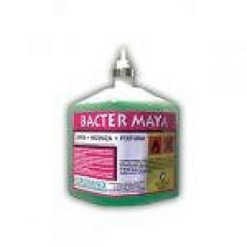 CARGA BACTER MAYA. Aroma floral intenso.